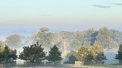 View of the parkland at Hanbury Hall